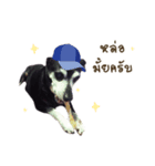 Garfill（個別スタンプ：7）