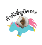 Rameng The Guinea pig（個別スタンプ：9）