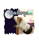 Rameng The Guinea pig（個別スタンプ：22）