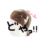 ほのか1015 No.2（個別スタンプ：14）