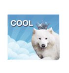 MORGAN THE SAMOYED（個別スタンプ：4）