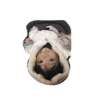 子どもすたんぷ（個別スタンプ：4）