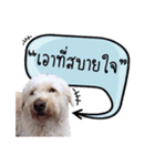 The kheng（個別スタンプ：4）