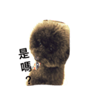 It is a crazy dog called Rocker.（個別スタンプ：4）