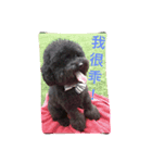 It is a crazy dog called Rocker.（個別スタンプ：6）