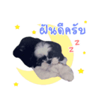 mumei（個別スタンプ：16）