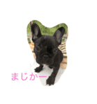 hanaのスタンプ（個別スタンプ：6）