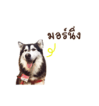 Tej family（個別スタンプ：1）