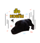 peak-poon（個別スタンプ：1）
