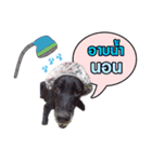 peak-poon（個別スタンプ：3）