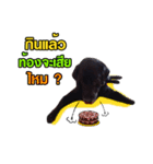 peak-poon（個別スタンプ：6）