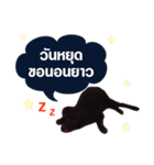 peak-poon（個別スタンプ：8）