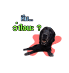 peak-poon（個別スタンプ：9）