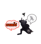 peak-poon（個別スタンプ：11）