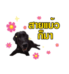 peak-poon（個別スタンプ：15）