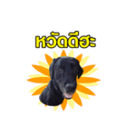 peak-poon（個別スタンプ：16）