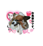 じゃじゃまる その1（個別スタンプ：7）