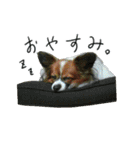 じゃじゃまる その1（個別スタンプ：8）