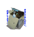 じゃじゃまる その1（個別スタンプ：13）