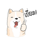 Praew Bangkaew dog（個別スタンプ：1）