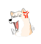 Praew Bangkaew dog（個別スタンプ：4）