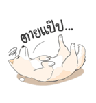 Praew Bangkaew dog（個別スタンプ：6）