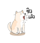 Praew Bangkaew dog（個別スタンプ：7）