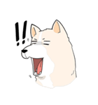 Praew Bangkaew dog（個別スタンプ：8）