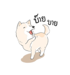 Praew Bangkaew dog（個別スタンプ：11）