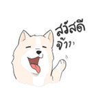 Praew Bangkaew dog（個別スタンプ：12）