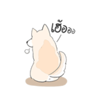 Praew Bangkaew dog（個別スタンプ：14）