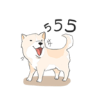 Praew Bangkaew dog（個別スタンプ：16）
