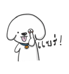 Pungza Happy little white dog（個別スタンプ：1）