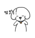 Pungza Happy little white dog（個別スタンプ：5）