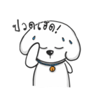Pungza Happy little white dog（個別スタンプ：7）