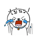 Pungza Happy little white dog（個別スタンプ：12）