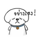 Pungza Happy little white dog（個別スタンプ：13）