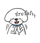 Pungza Happy little white dog（個別スタンプ：16）