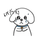 Pungza Happy little white dog（個別スタンプ：18）