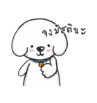 Pungza Happy little white dog（個別スタンプ：19）