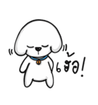 Pungza Happy little white dog（個別スタンプ：31）