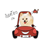 Nobii Dog（個別スタンプ：13）
