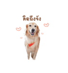 Focus..na..hug（個別スタンプ：10）