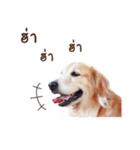 Focus..na..hug（個別スタンプ：15）