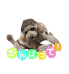 かわいいかわいいマロン♪（個別スタンプ：14）