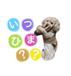 かわいいかわいいマロン♪（個別スタンプ：16）