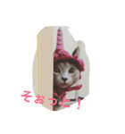 ロシアンブルー猫 シェンラン（個別スタンプ：3）