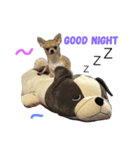 sassy doggy（個別スタンプ：2）