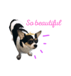 sassy doggy（個別スタンプ：3）