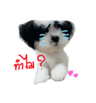 Percy＆Cozy（個別スタンプ：4）